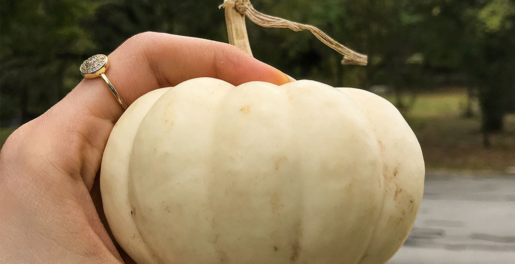 hand holding white pumpkin